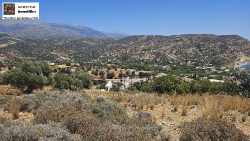 Agia Galini Kreta, Agia Galini: Baugrundstück 4.000 m² aufgeteilt auf 5 Parzellen Grundstück kaufen